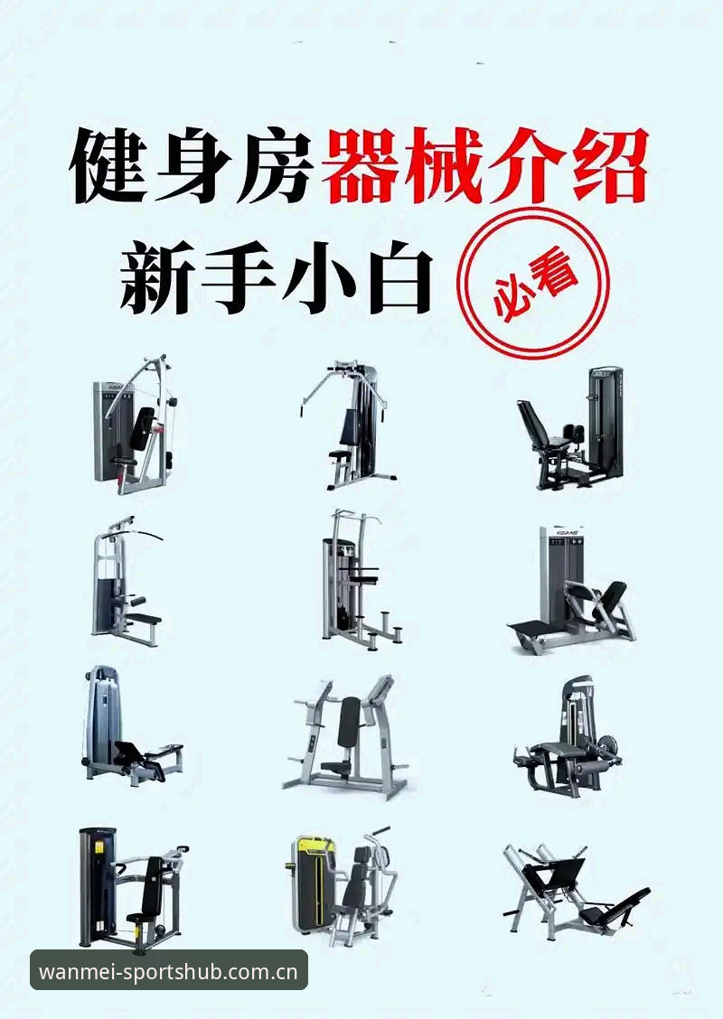 揭秘完美体育手机版下载安卓版：新手必看的5个关键步骤与隐藏技巧